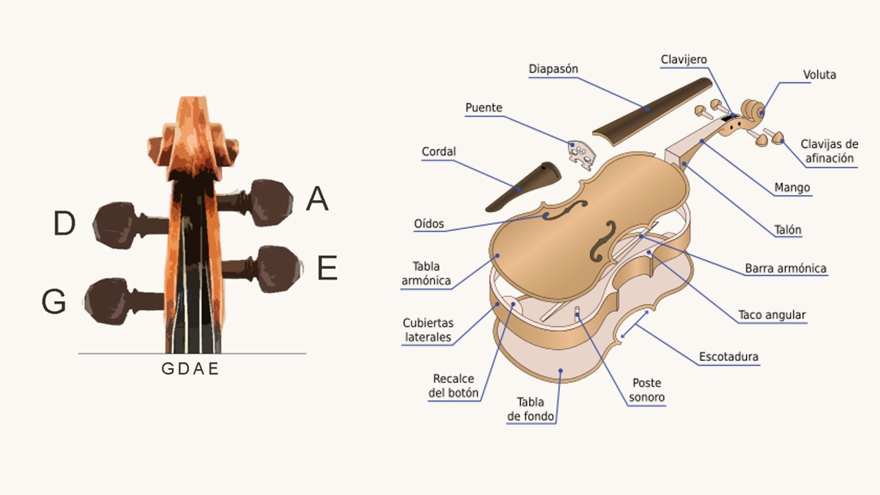 Ciencias Artículos de primera necesidad sangre Afinación de violín: la guía definitiva y los mejores afinadores de violín  - Sono Market